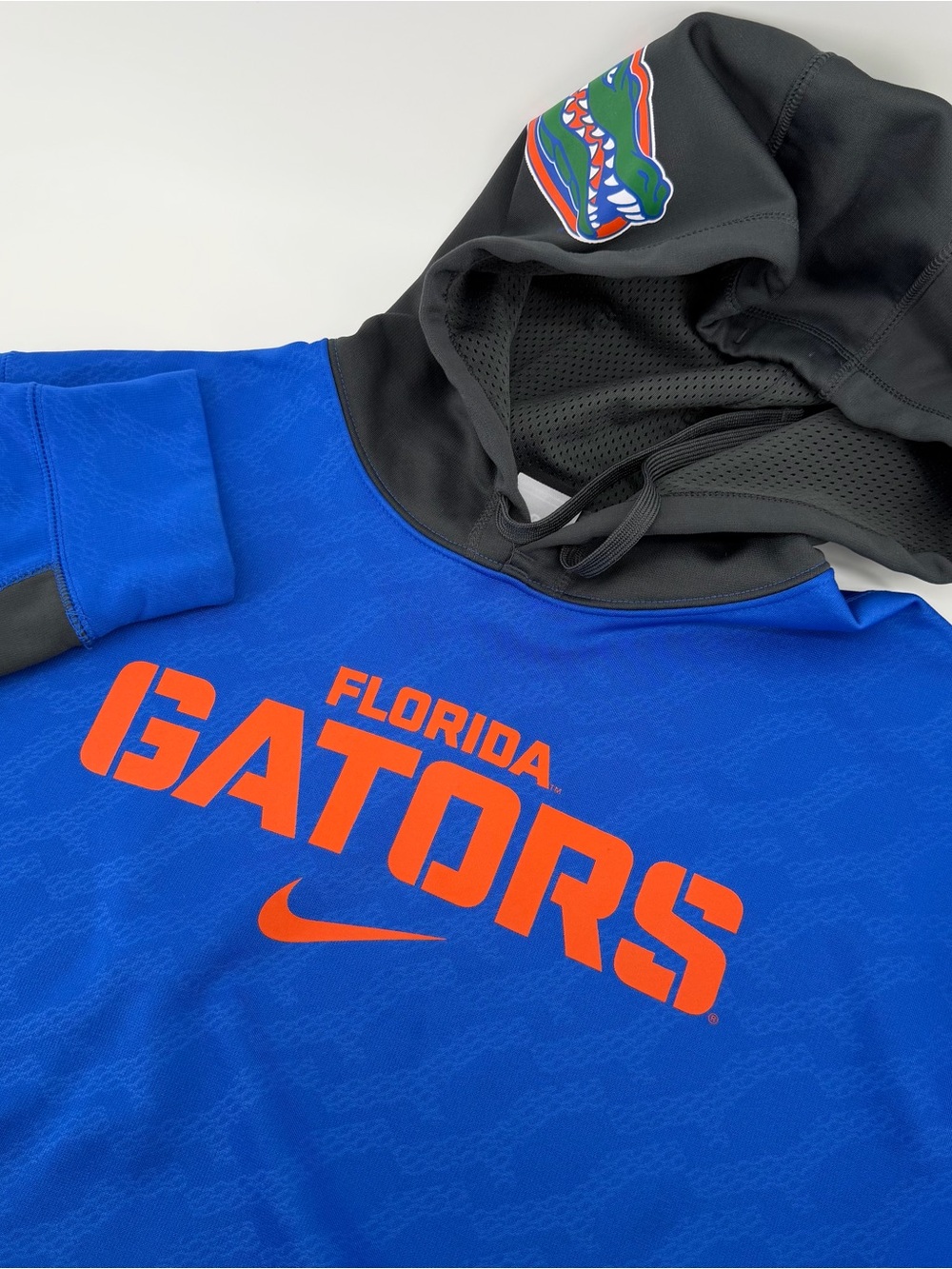 Nike Florida Gators Therma-FIT Sideline Hoodie Large